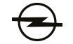 Huile moteur Opel
